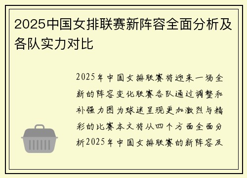 2025中国女排联赛新阵容全面分析及各队实力对比