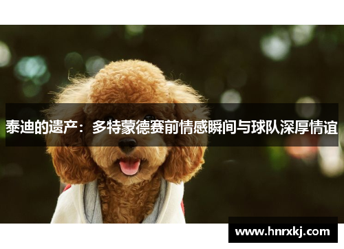 泰迪的遗产：多特蒙德赛前情感瞬间与球队深厚情谊
